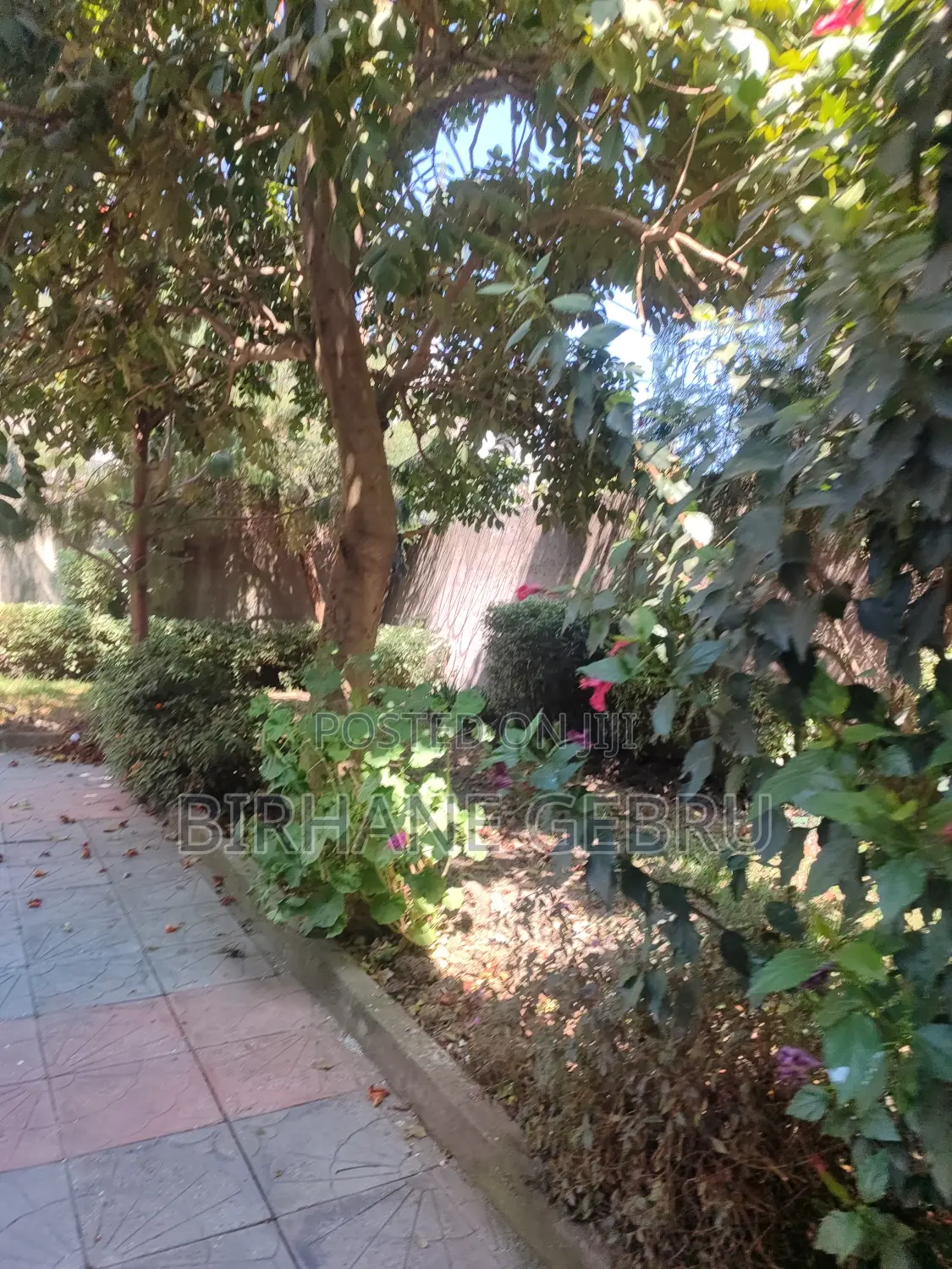 5bdrm House in G+2, Bole for rent