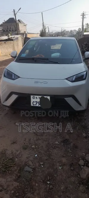 Photo - New BYD Seagull 2024 Silver