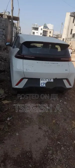 New BYD Seagull 2024 Silver