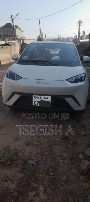 New BYD Seagull 2024 Silver