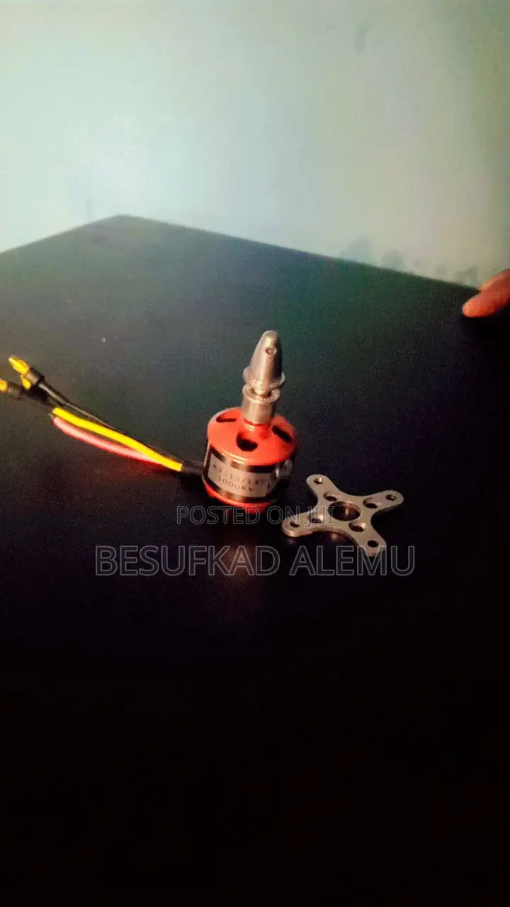 Brushless Motor