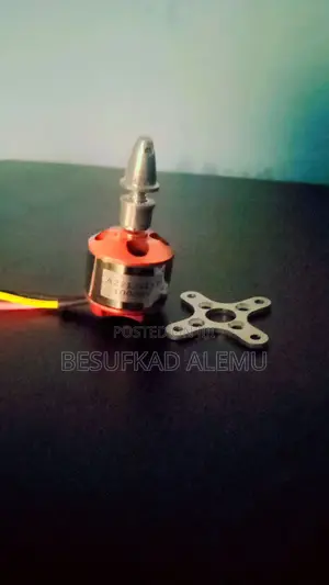 Brushless Motor