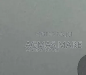 New Laptop Apple MacBook Air 2022 M2 8GB Apple M2 SSD 256GB