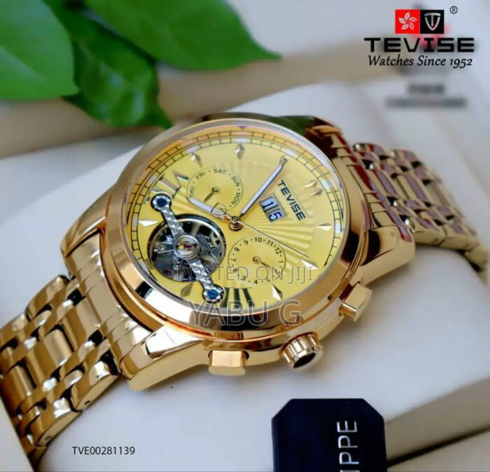 Tevise Luxury Automatic Mechanical Watch for Men