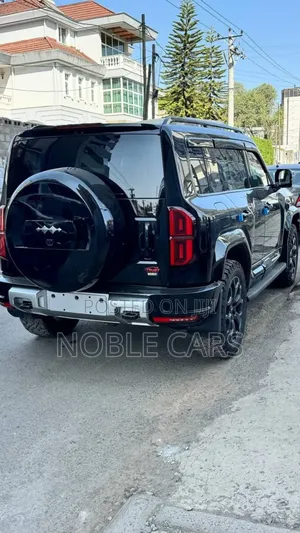 Photo - New BYD Leopard 5 2025 Matt Black