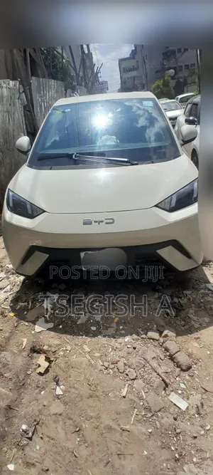 Photo - New BYD Seagull 2025 Silver