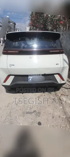 New BYD Seagull 2025 Silver