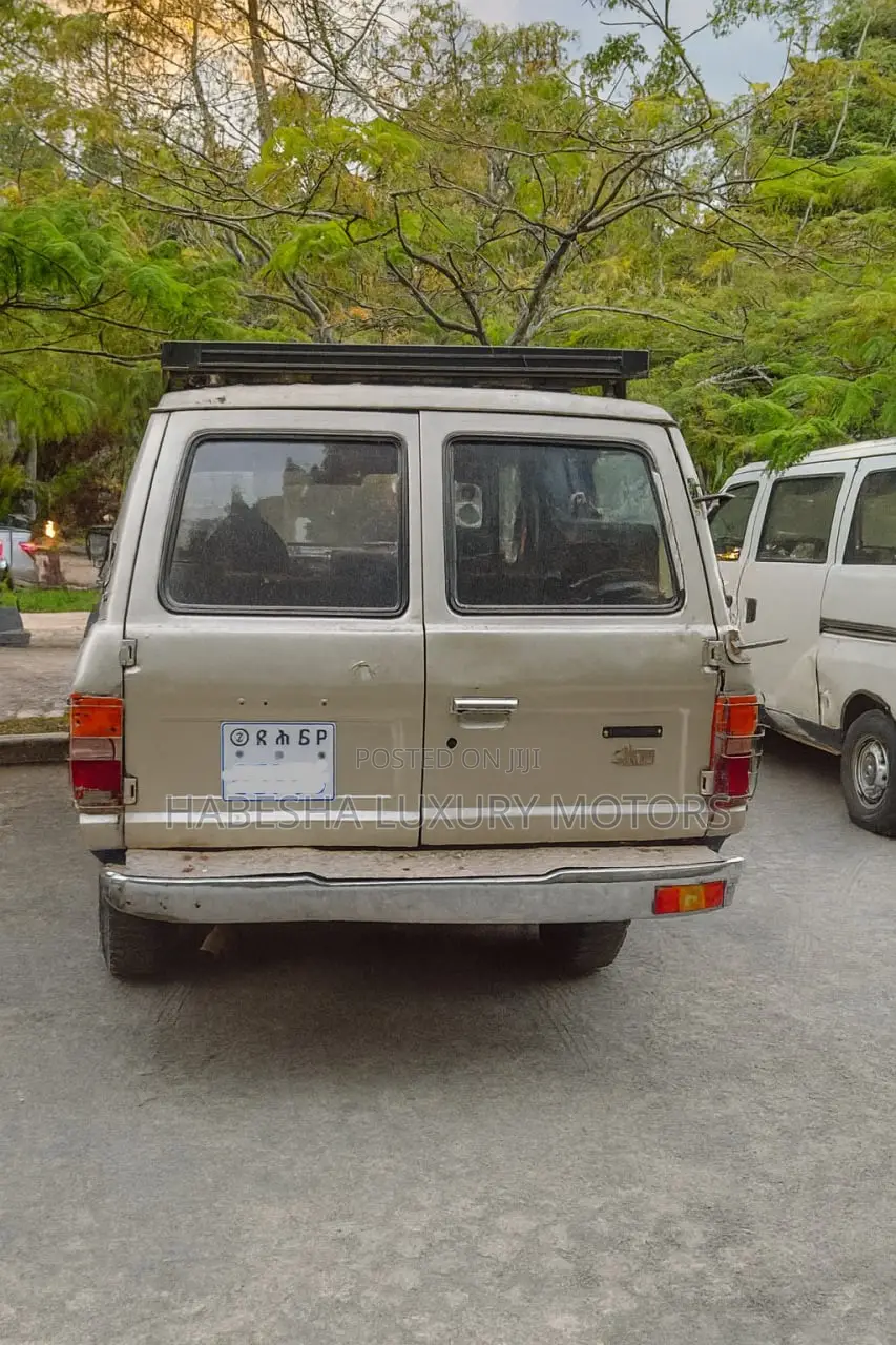 Toyota Land Cruiser 1989 Gray