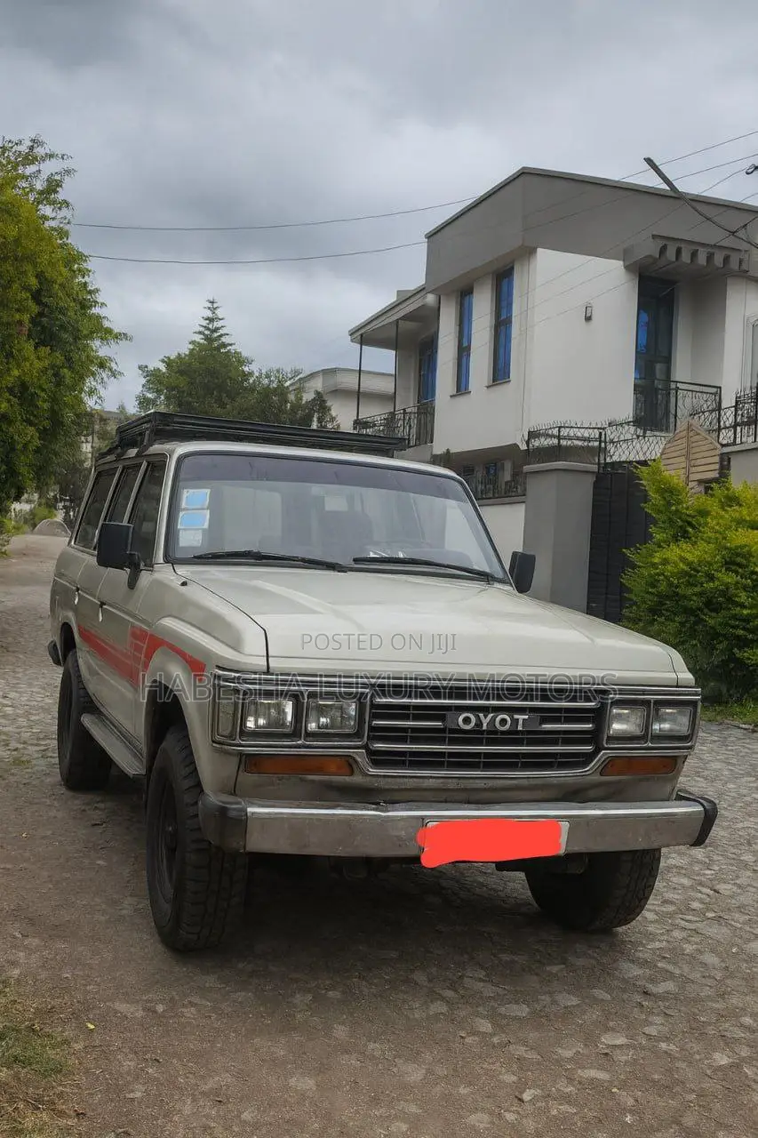 Toyota Land Cruiser 1989 Gray