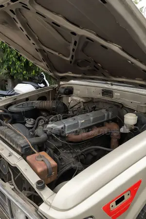 Toyota Land Cruiser 1989 Gray