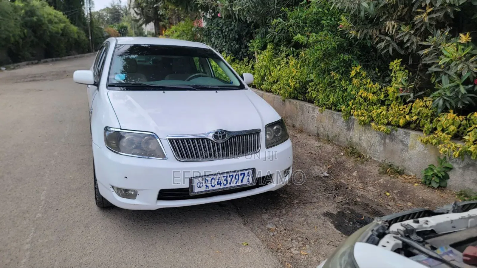 Toyota Corolla 2006 White