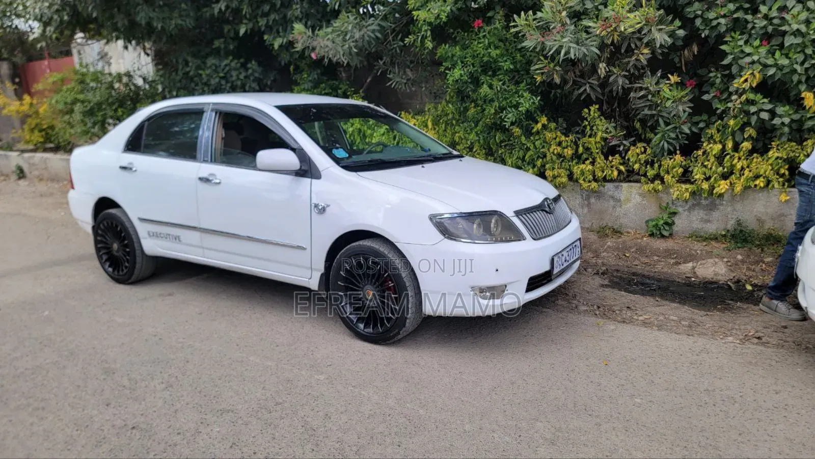 Toyota Corolla 2006 White