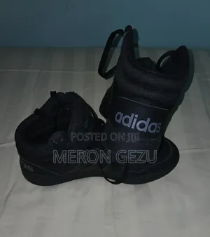 Addidas Shoe