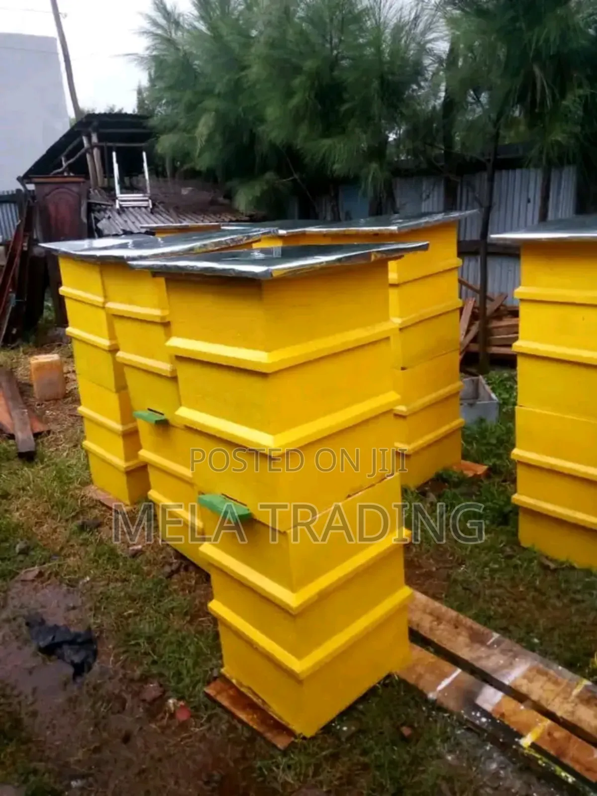Modern Bee Hive