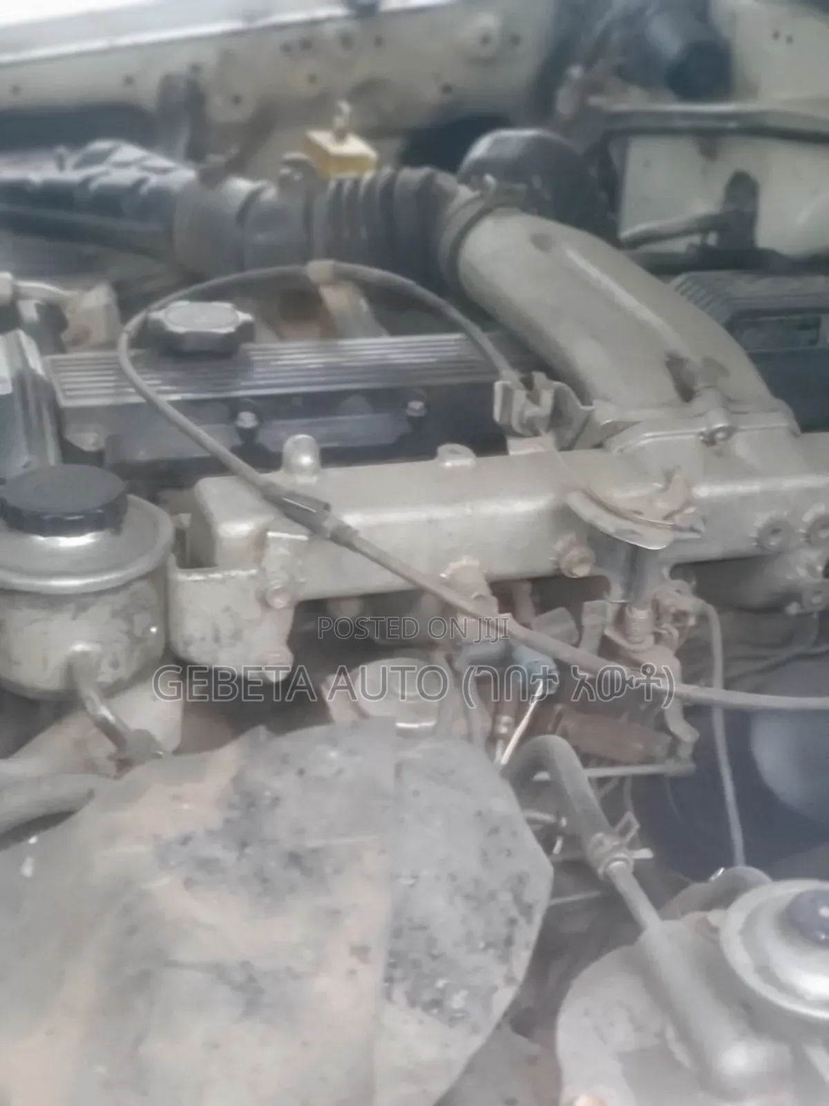 Toyota Land Cruiser 2010