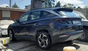 Hyundai Tucson Limited 2021 Blue