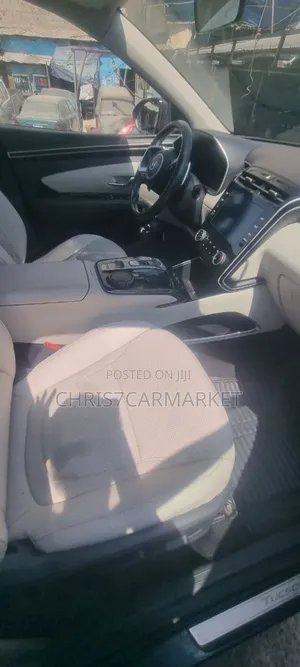 Hyundai Tucson Limited 2021 Blue