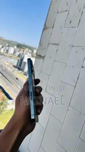 New Apple iPhone 13 Pro Max 128 GB Green