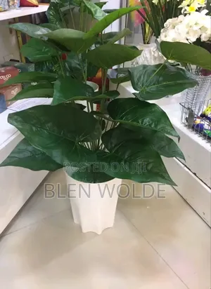 Photo - Artifical Plant