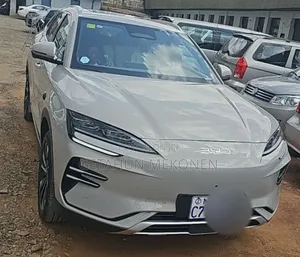 Photo - BYD Song Plus 2025