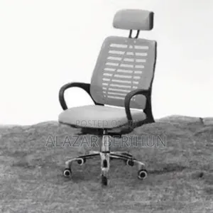 Photo - Secretary Office Chair( Silver Color)