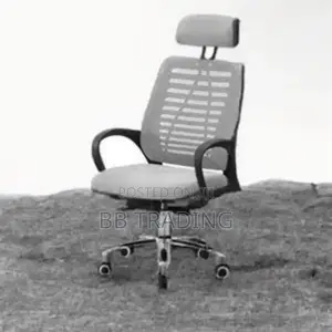 Secretary Office Chair( Silver Color)