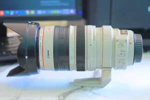 Photo - Canon Zebra Zoom Lens Mark 2- 28-300