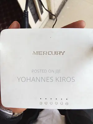 Mercury Router