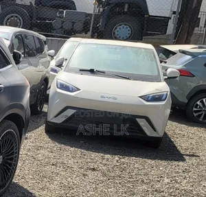 Photo - New BYD Seagull 2025 Beige