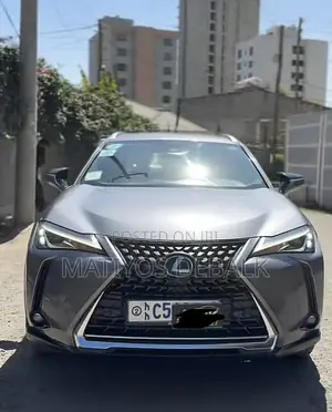Photo - Lexus UX 2022 Gray