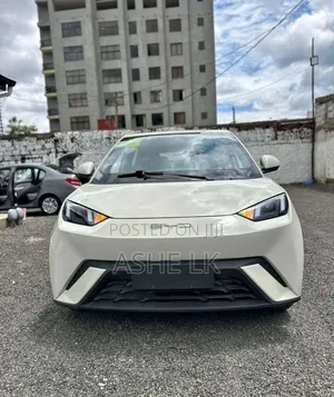 New BYD Seagull 2025 Beige