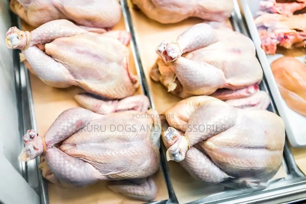 Minced Chicken Dog Food for Pets