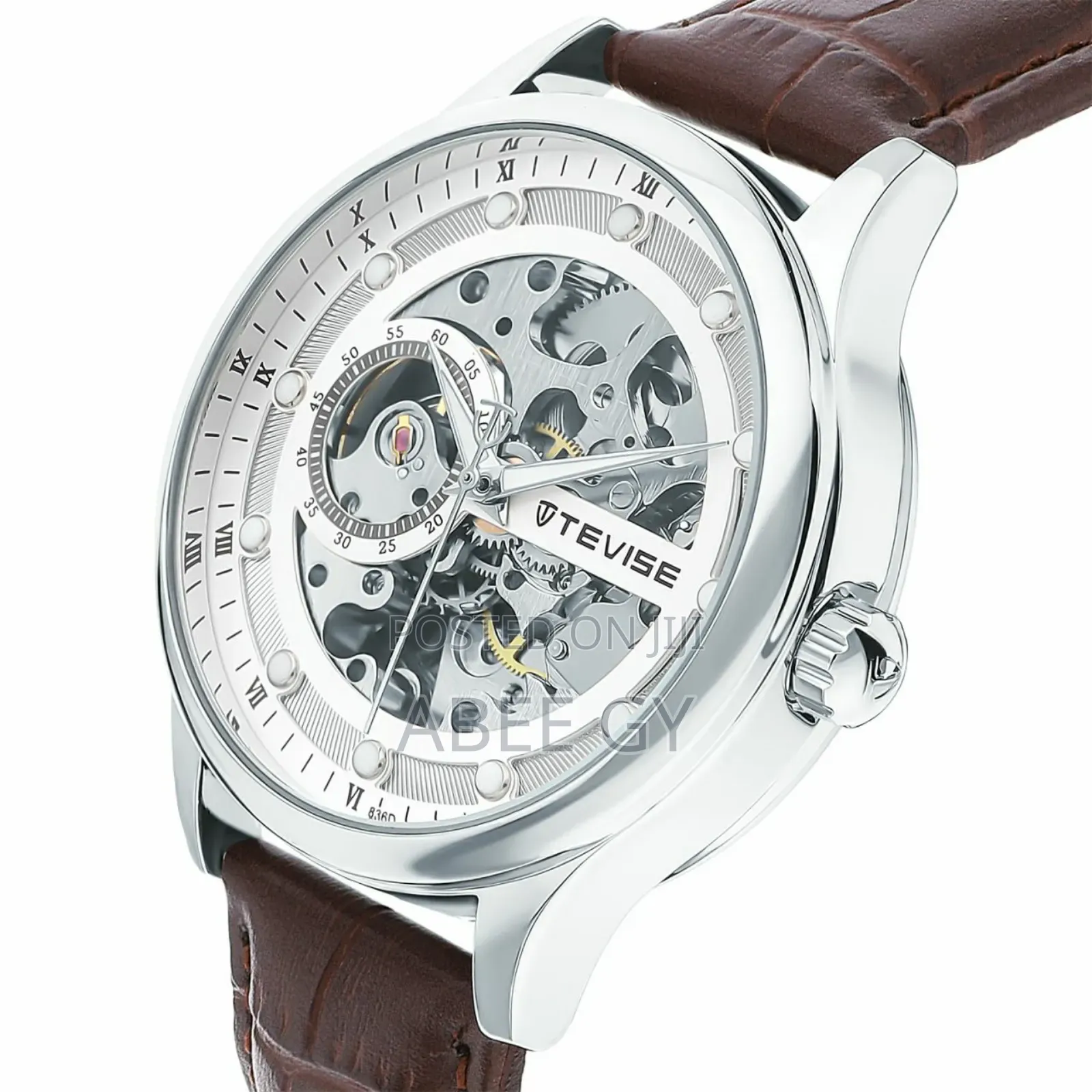 Tevise Automatic Mechanical Watches — Where Luxury Meets Precision.