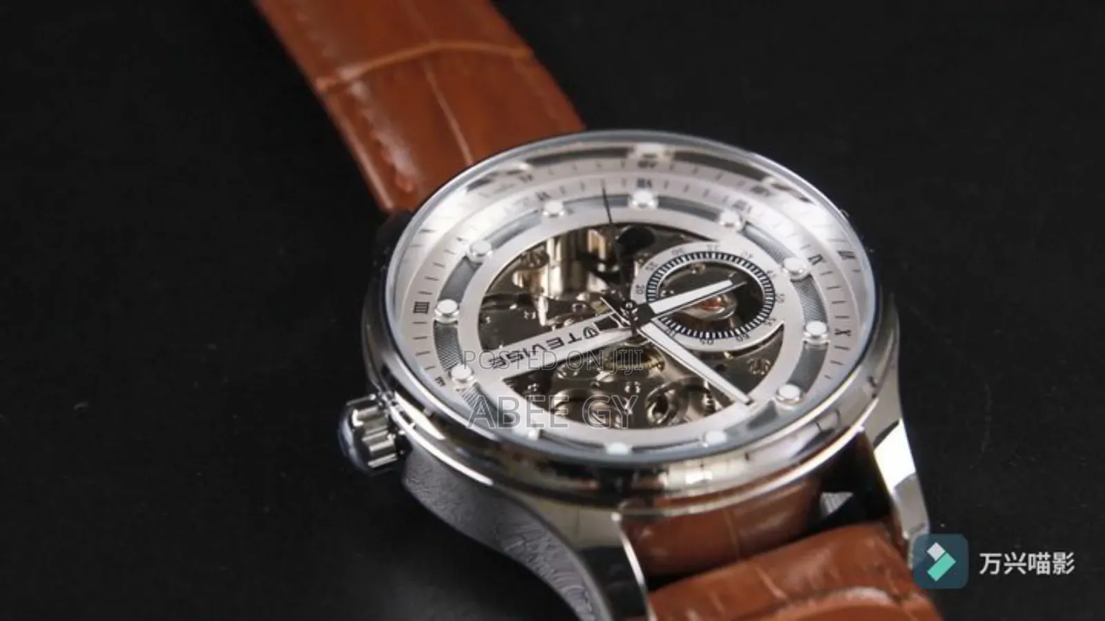 Tevise Automatic Mechanical Watches — Where Luxury Meets Precision.