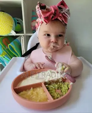 Silcon Feeding Set
