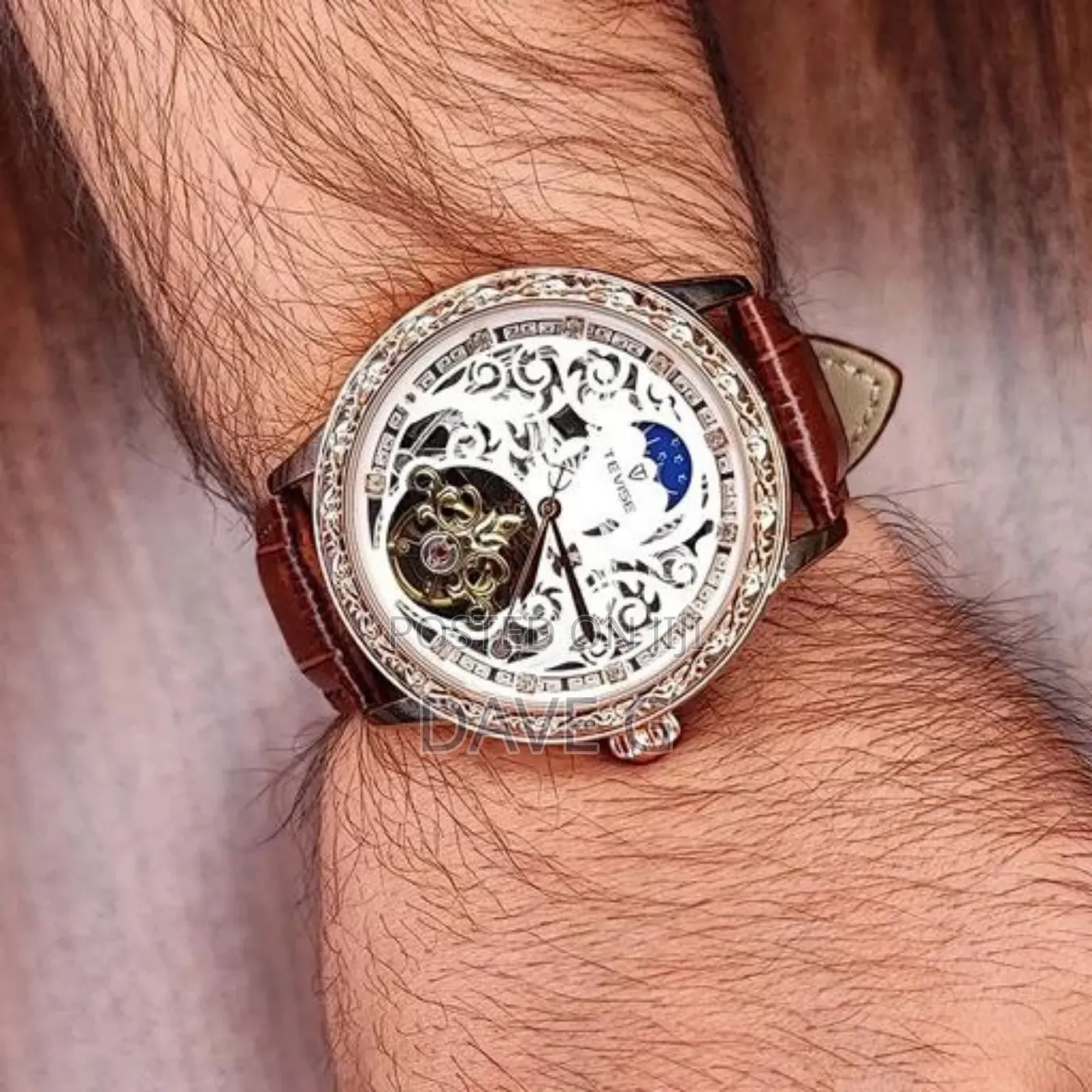 Tevise Luxury Men's Waterproof Mechanical Leather Band Watch