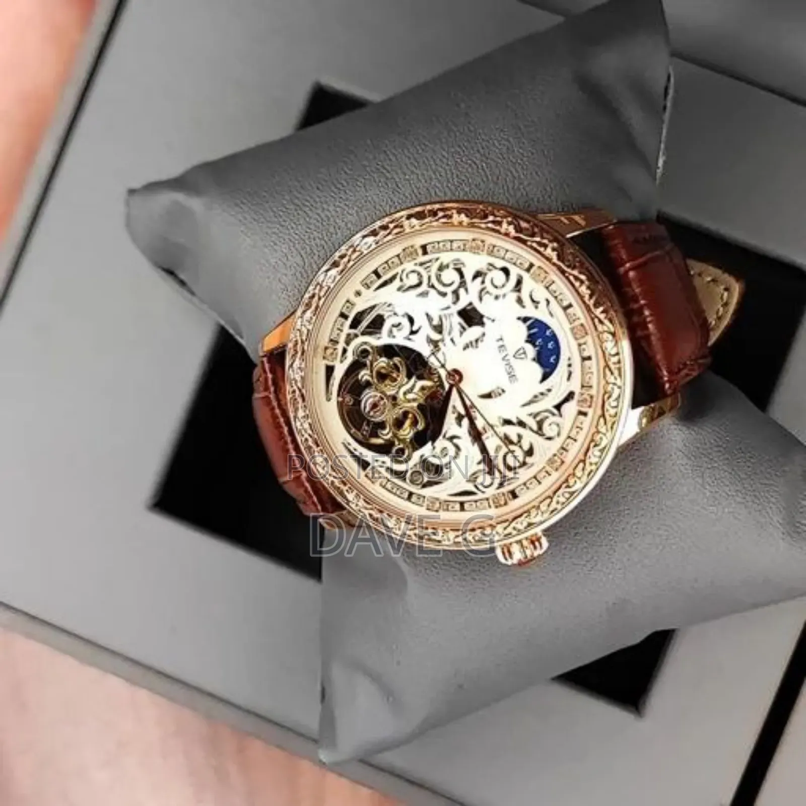 Tevise Luxury Men's Waterproof Mechanical Leather Band Watch