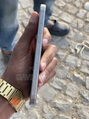 Apple iPhone 15 Pro Max 256 GB Silver