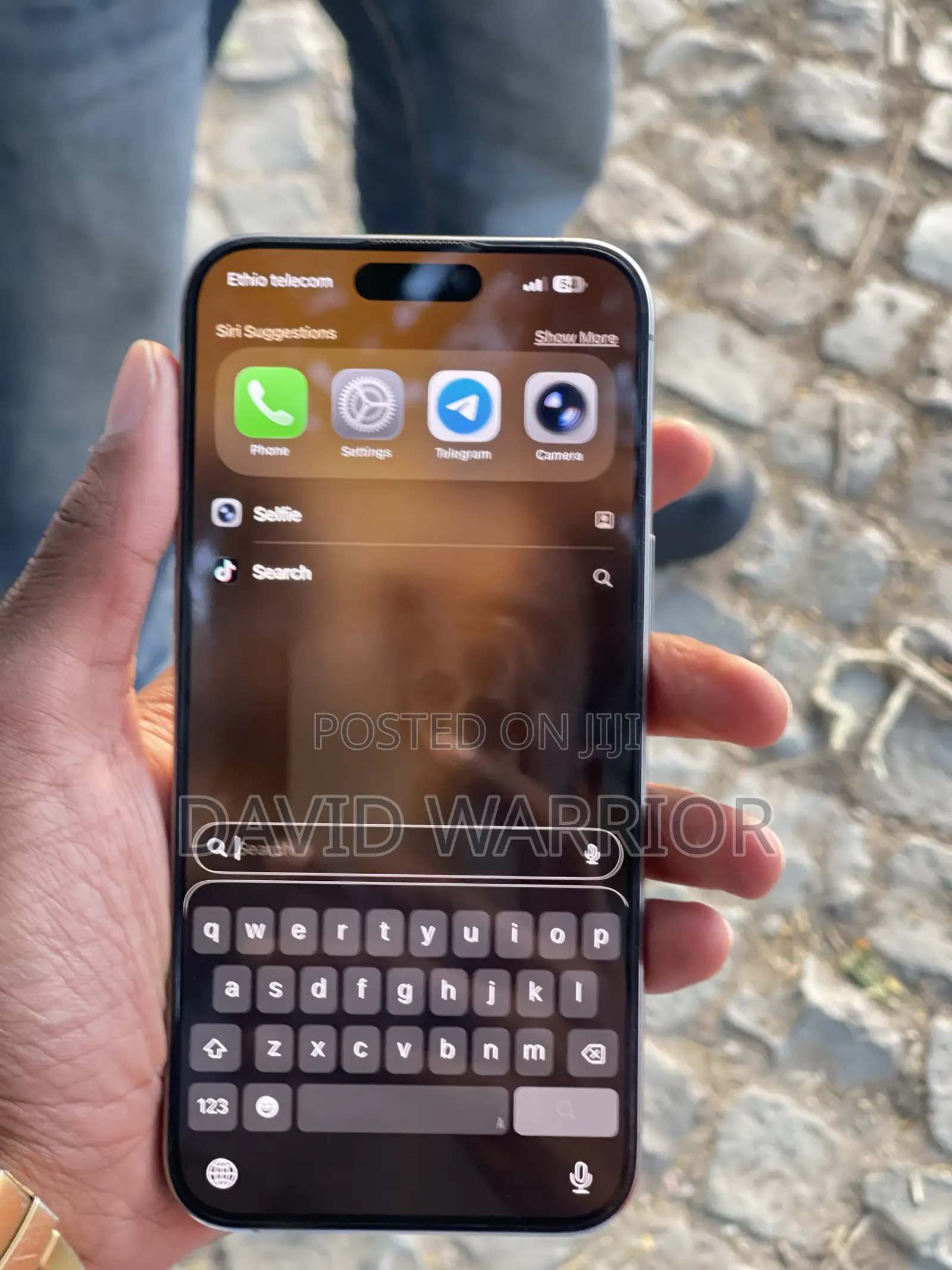 Apple iPhone 15 Pro Max 256 GB Silver