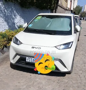 Photo - BYD Seagull 2024 Gold