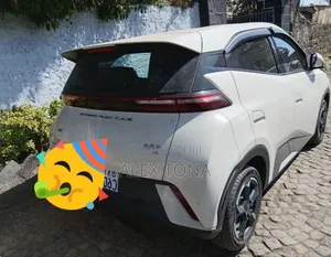 BYD Seagull 2024 Gold