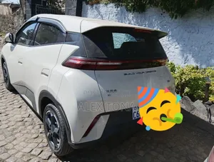 BYD Seagull 2024 Gold