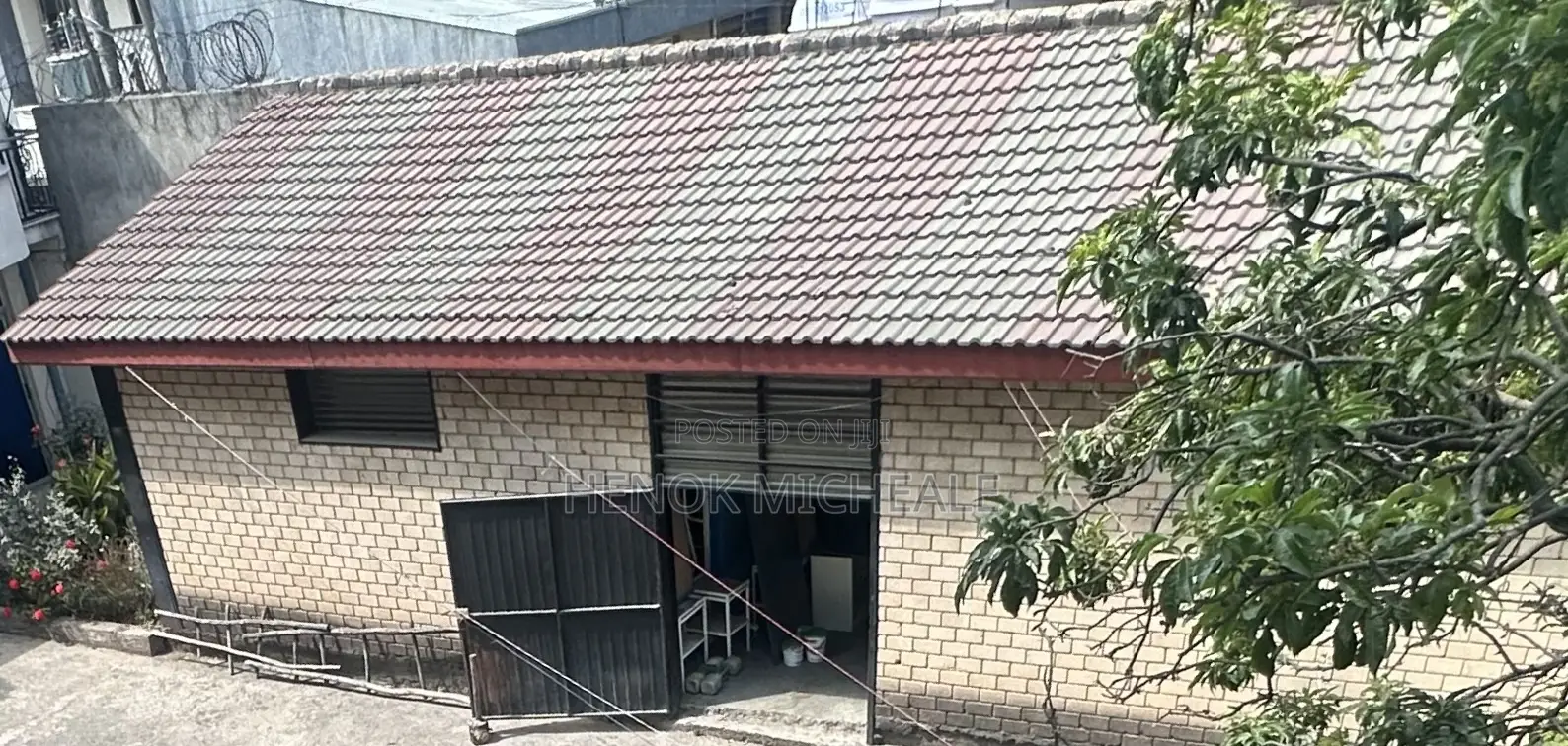 የመከራይ መጋዘን (Store)