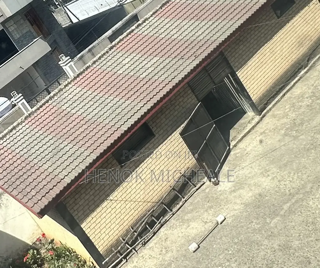 የመከራይ መጋዘን (Store)