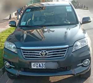 Photo - Toyota RAV4 2010 Gray