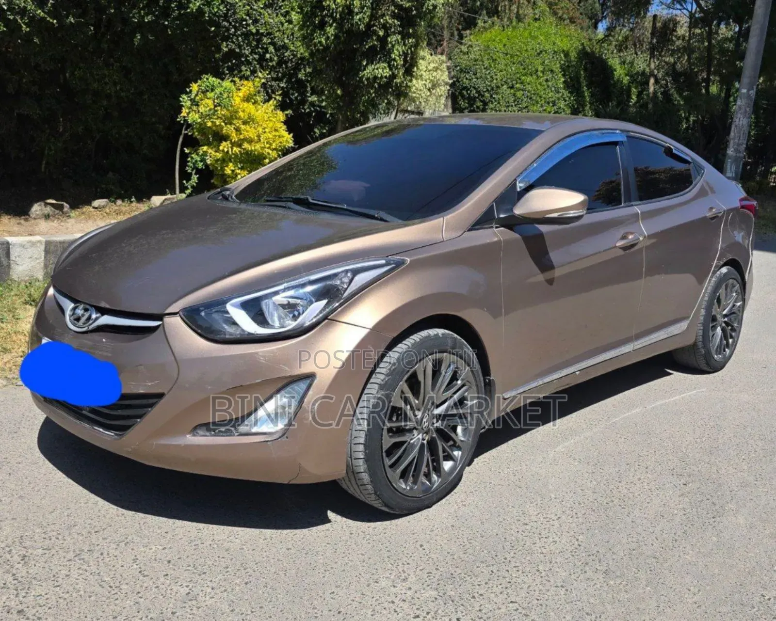 Hyundai Elantra 2015 Brown
