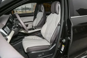 Photo - New BYD Song Plus 2025 Brown