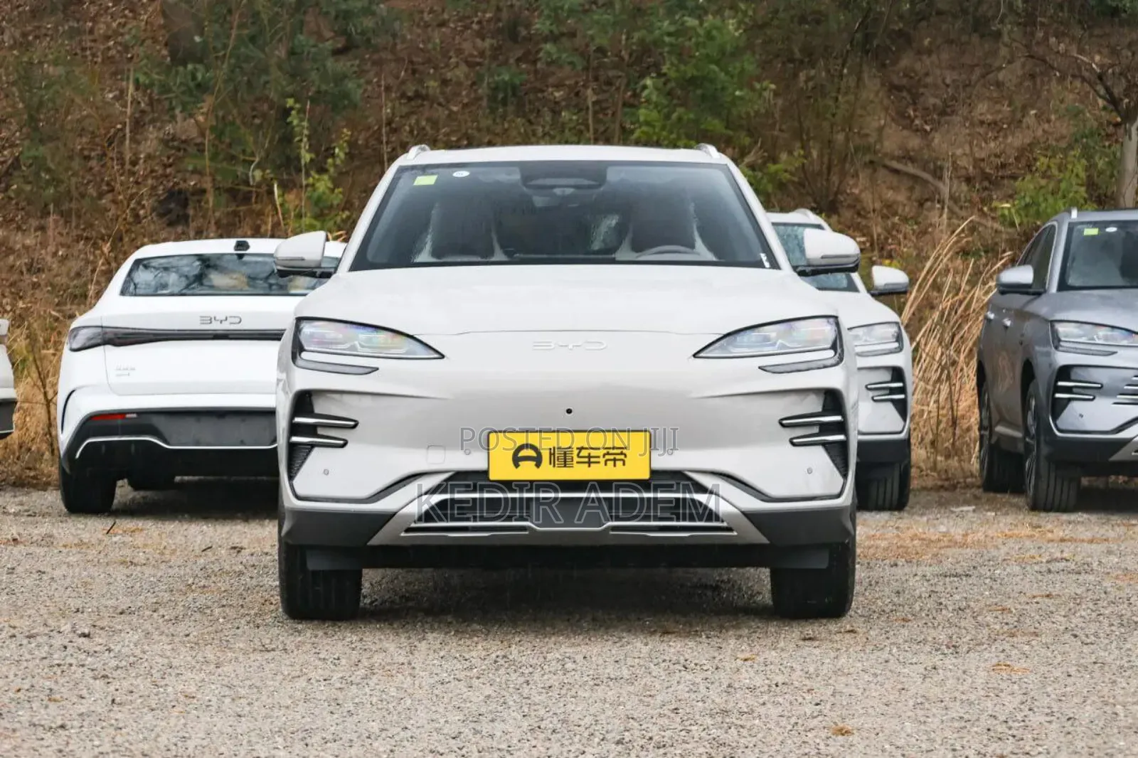 New BYD Song Plus 2025 Brown