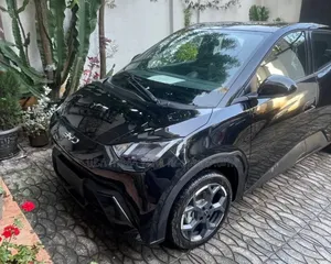 Photo - BYD Seagull 2024 Matt Black