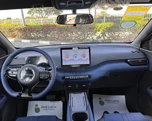 BYD Seagull 2024 Matt Black